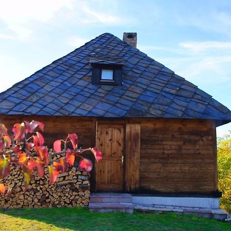 Cabin Menka Sirogojno Eksteriør billede
